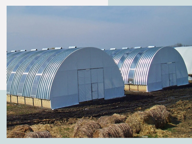 Сельскохозяйственные здания в Луге