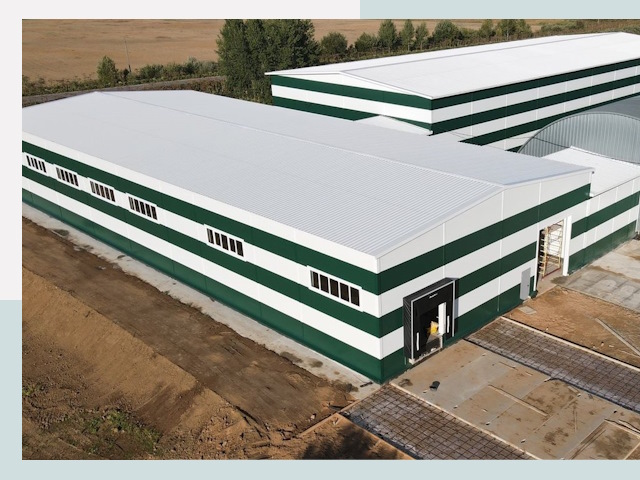 Строительство овощехранилищ в Луге