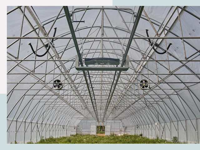 Строительство теплиц в Луге