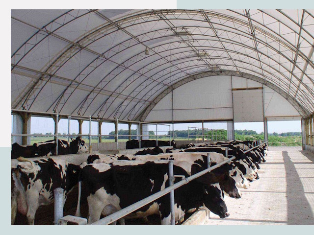 Тентовые коровники в Луге