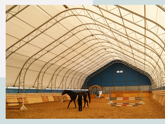 Строительство конных манежей в Луге